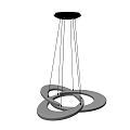 Modern Unique Shaped Chandelier With Circular Ring Design And Black White Finish