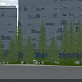 Evergreen Trees in Front of Modern Glass Buildings With Lawn and Stone Pavement