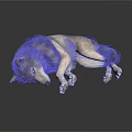 Gray and White Wolf Lying on White Surface with Extended Limbs and Relaxed Pose