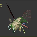 Alien Insects Sci-Fi Insects Magic Insects Strange Insects Fantasy Insects Insect Characters Game Characters 3d model