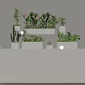 Bonsai and Potted Plants with Various Green Foliage in White Containers for Indoor Decoration