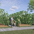 Rural Countryside Garden With Arch Trellis Melons And Stone Pathway