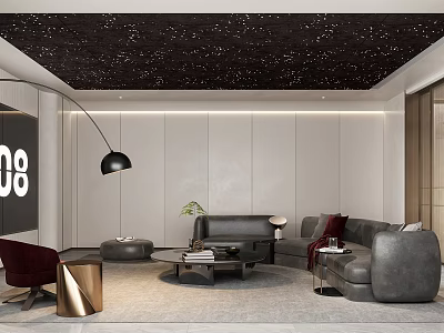 Modern Home Theater Room with Starry Ceiling Gray Sofa Floor Lamp and Green Plant 3d model