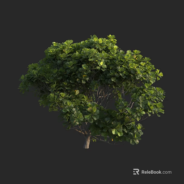 Healthy Green Tree With Lush Foliage Dense Canopy And Strong Trunk 3d model 