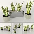 Decorative Ornament Set with Snake Plants in Silver Rectangular Planter and White Round Pots