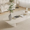 Modern Sofa and Coffee Table Set With Cozy Blanket Green Plant Books and Soft Rug
