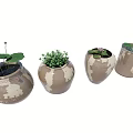 Bonsai Potted Plants in Brown White Speckled Pots Featuring Green Plants Pink Flowers Lotus Leaves