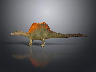 3D Dinosaur Model With Green Body Orange Sail Like Structure And Reflection On Gray Background 3d model