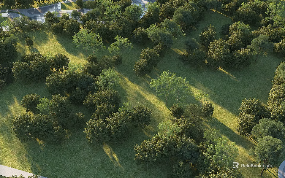Lush Green Park Landscape with Scattered Trees and Sunlit Grass Areas 3d model 