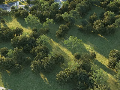 Lush Green Park Landscape with Scattered Trees and Sunlit Grass Areas 3d model