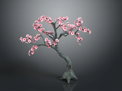 Ornamental Tree With Curved Trunk And Blooming Pink Flowers Against Dark Background 3d model