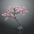 Ornamental Tree With Curved Trunk And Blooming Pink Flowers Against Dark Background
