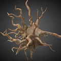 Abstract Plant With Twisted Branches And Brown Copper Color On Dark Background 3d model