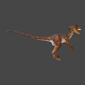 Realistic 3D Velociraptor Model With Brown Orange Stripes Standing Open Mouth