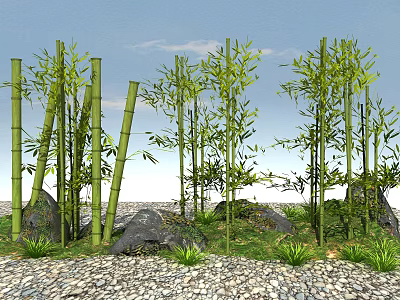 Green Bamboo Plants With Tall Poles Lush Leaves Rocks And Pebble Ground 3d model