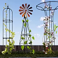 Beautiful Yard Garden Featuring Various Decorative Metal Trellises With Climbing Vines