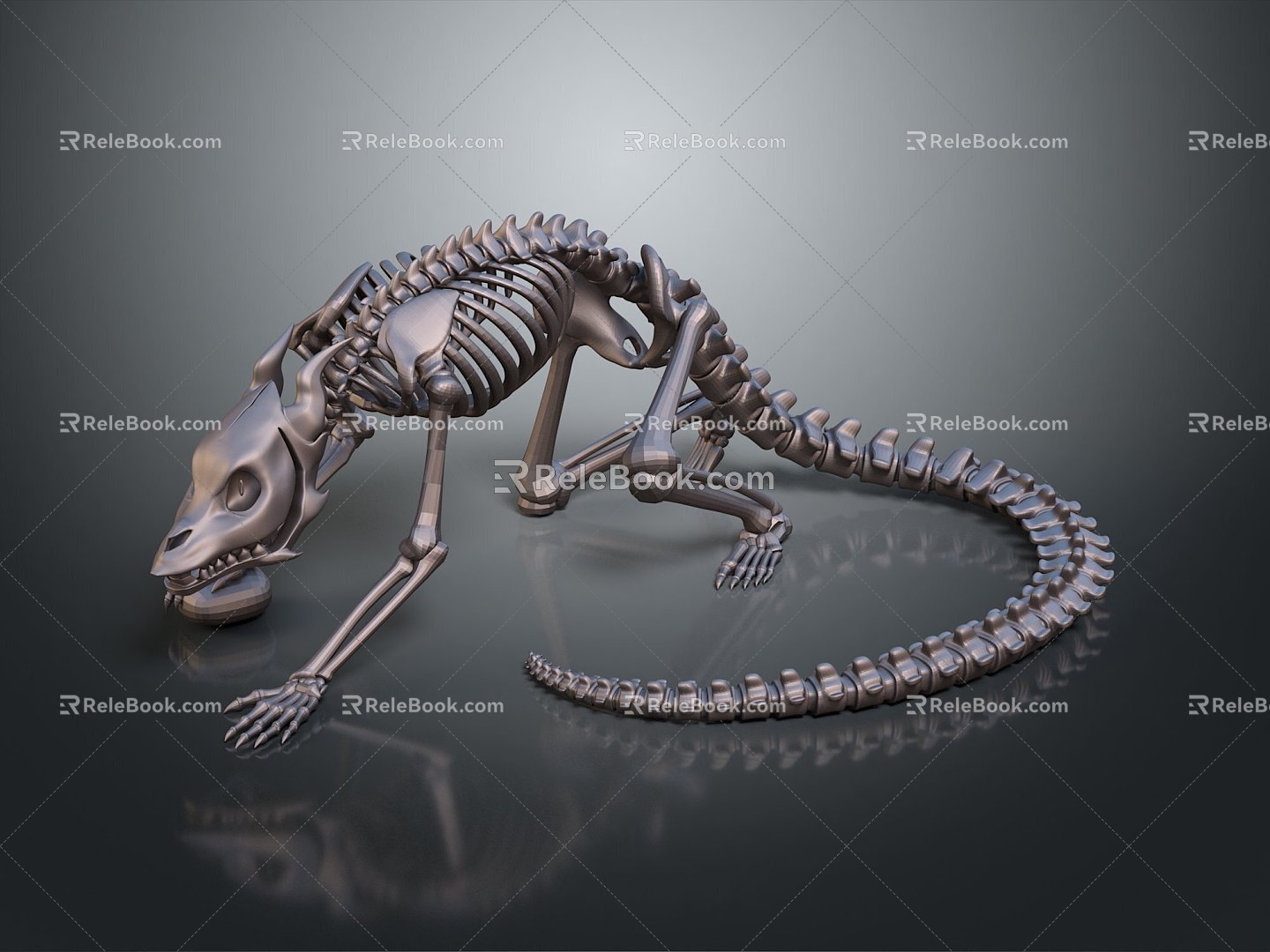 Modern Skeleton Animal Skeleton Skeleton Animal Skeleton 3d model