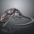 Medical Instrument Animal Skeleton Model With Metal Construction For Anatomical Teaching