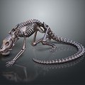 Modern Skeleton Animal Skeleton Skeleton Animal Skeleton 3d model