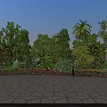 Arbor Trees Landscape With Palm Trees Various Plants And Paved Ground