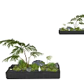 Indoor Landscape Design With Rectangular Planter Large Green Plants Small Stones And Moss 3d model