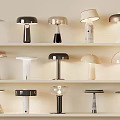 Various Style Table Lamps Display On Shelves With Different Designs 3d model