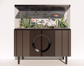 Modern fish tank aquarium combination 3d model