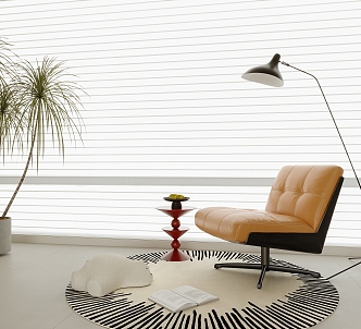 Leisure Chair Floor Lamp Side Corner Round Carpet Bonsai Venetian Blinds 3d model