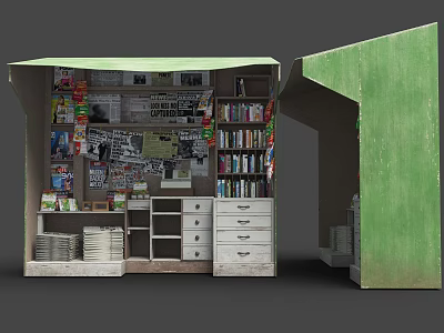Vintage Compact Scene Interior With Bookshelves Books Magazines Posters Drawer Cabinets And Green Structure 3d model