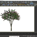 Lush Purple Flowering Arbor with Green Leaves and Brown Trunk