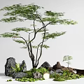 Modern red maple landscape tree courtyard sketch courtyard arbor maple moss micro-terrain stone 3d model