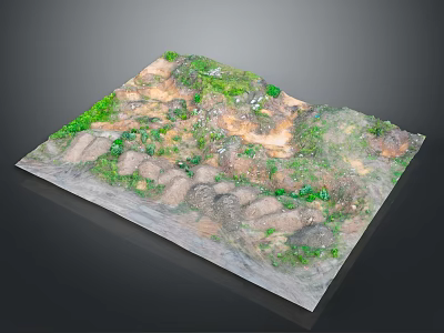 Scenic Natural Landscape With Green Vegetation Earth Terrain And Stone Pathway 3d model