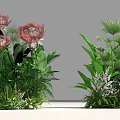 Floral Installation Design With Red Flowers Green Leaves And Various Green Plants