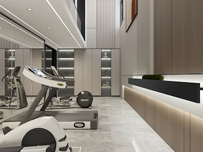 Modern Basement Gym With Treadmill Exercise Ball Storage Cabinets And Mirrors 3d model