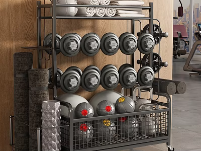 Gym Sports Equipment Storage Cart With Dumbbells Rolled Towels Medicine Balls And Fitness Rollers 3d model
