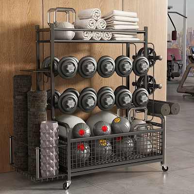 Gym Sports Equipment Storage Cart With Dumbbells Rolled Towels Medicine Balls And Fitness Rollers 3d model