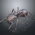 Metallic Ant Model with Detailed Legs Body Structure and Textured Surface on Dark Background