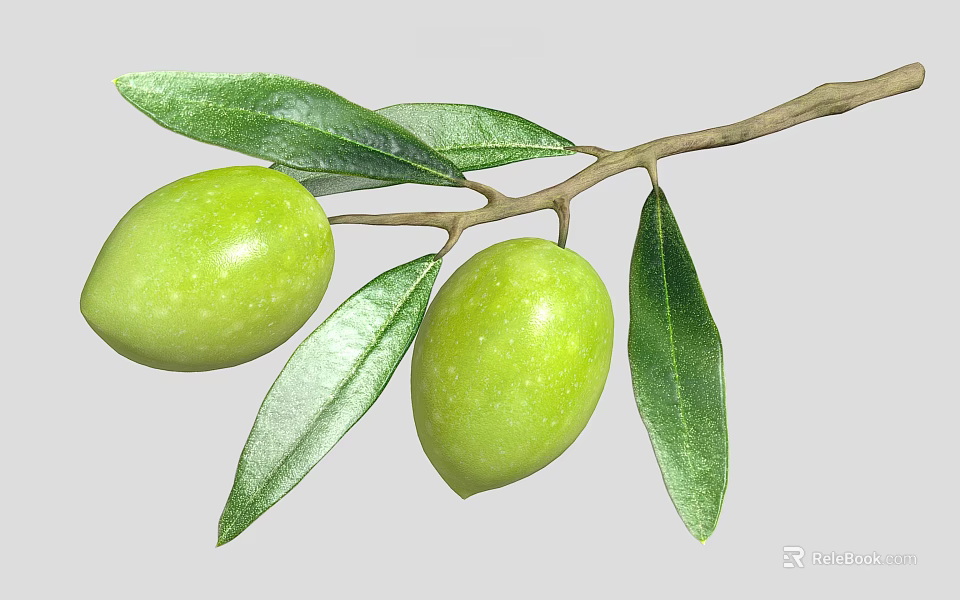Fresh Green Olives Growing On Branch With Healthy Green Leaves 3d model 