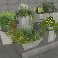 Various Potted Bonsai Plants In Geometric Concrete Pots With Lush Green Foliage