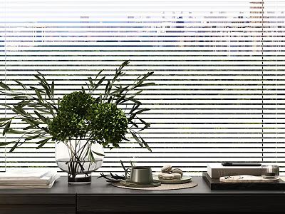 Decorative Ornament Collection With Green Plants Transparent Vase Silver Cup On Dark Table Blinds Background 3d model