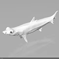 Detailed White Shark Model Placed on Dark Background Showing Reflection