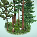 Tall Evergreen Trees In Natural Forest Scene With Lush Green Foliage