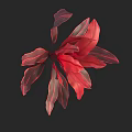 Lush Tropical Arbor Displaying Red and Deep Red Leaves with Pink Stripes
