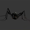 Detailed Black Insect With Long Legs And Antennae On Gray Background