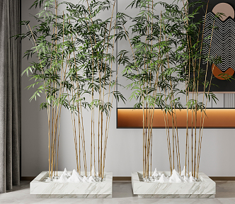 Modern bamboo potted plant 3d model