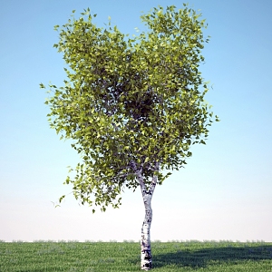 Tree 3d model