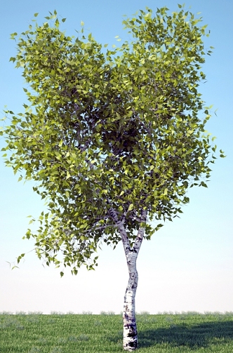 Tree 3d model