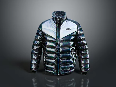 Shiny Iridescent Puffer Jacket With White Panel And Modern Zipper Design 3d model