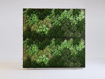 Living Plant Wall Design with Dense Green Plants and Natural Foliage for Modern Indoor Decor 3d model