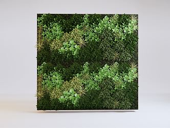 Modern plant wall vertical green wall 3d model